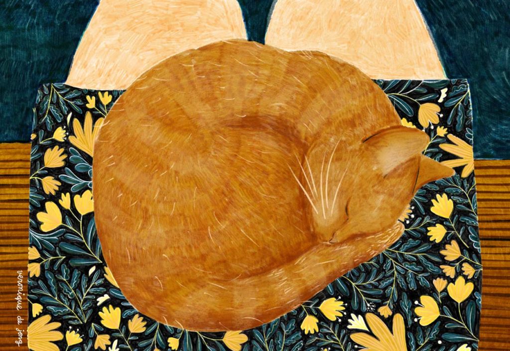 veronique de jong illustration illustrator cat kitten sleeping in lap red vintage flowers
